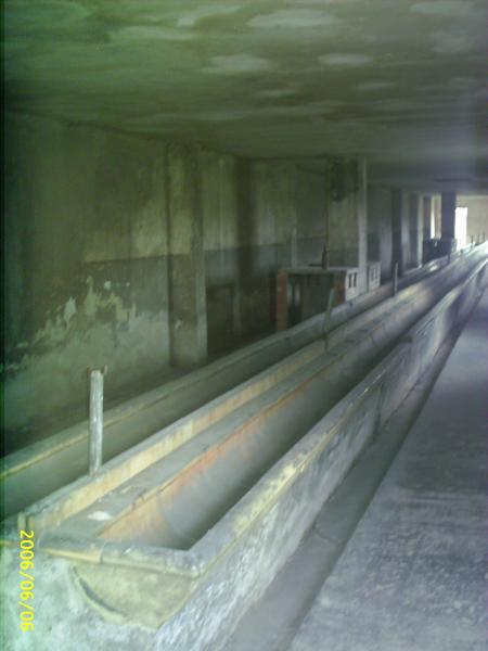 sanitaires