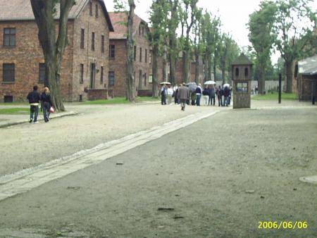 allée principale du camp