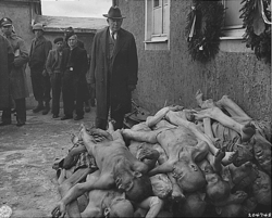 civils allemands découvrant le camps de buchenwald aprés la libération
